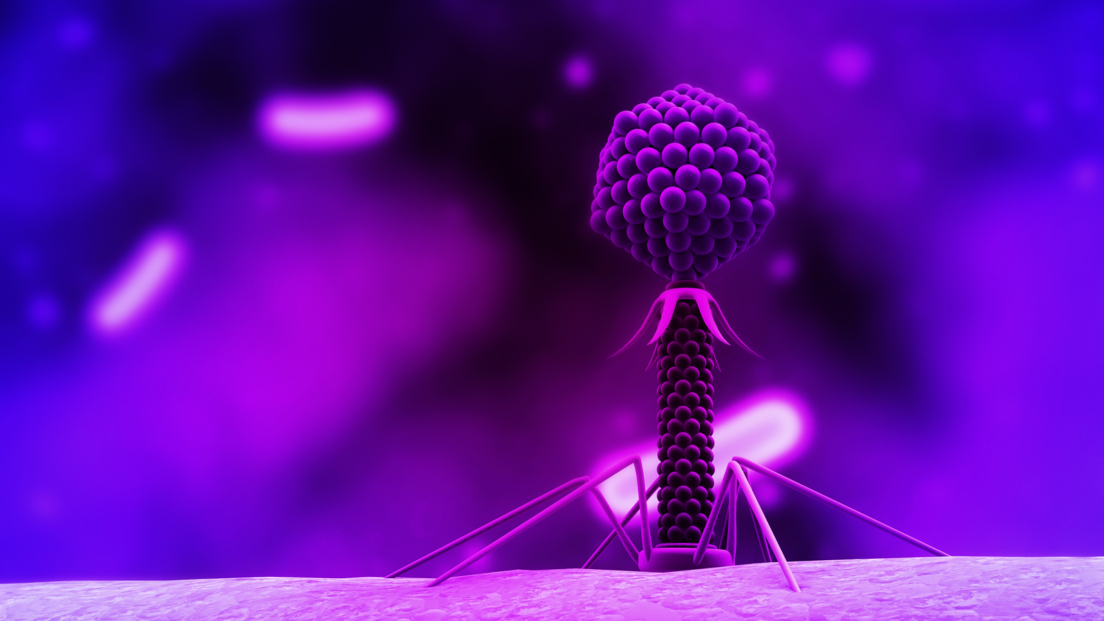 Bacteriophage Stock Illustration 47176705 | Shutterstock